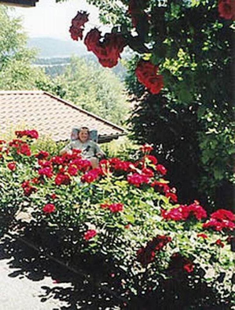 Ferienwohnung Haus Bergblick Bay. Wald Prackenbach Exterior foto