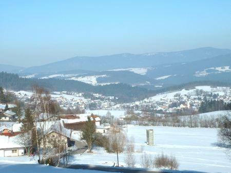 Ferienwohnung Haus Bergblick Bay. Wald Prackenbach Exterior foto